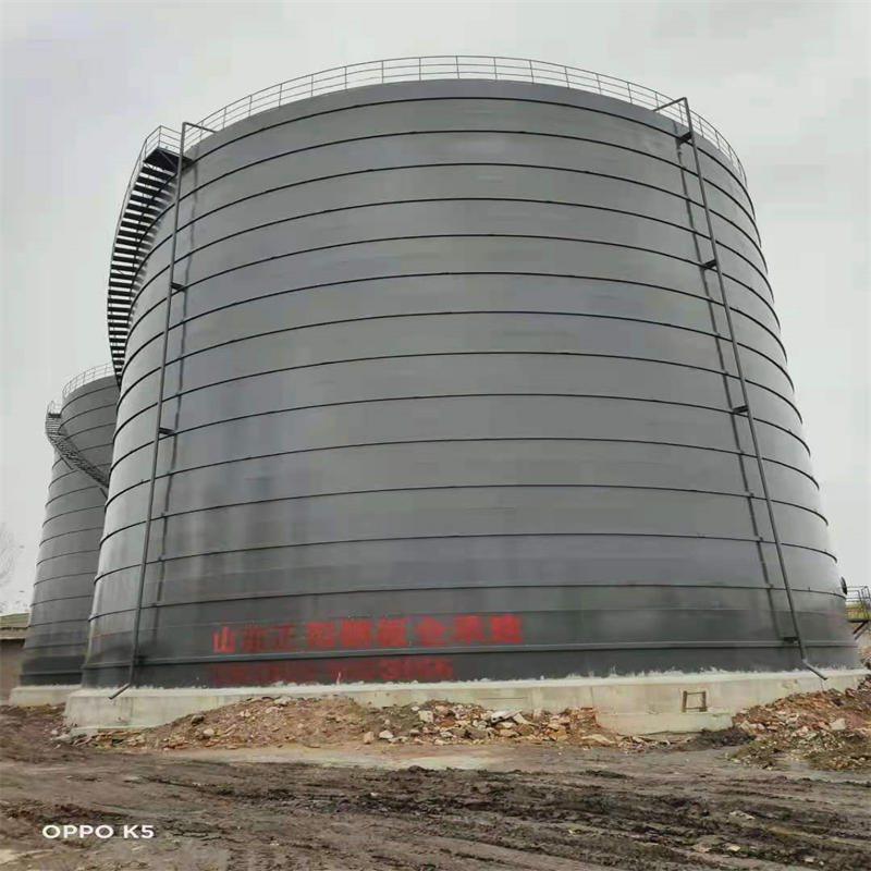 望牛墩镇3万吨大型钢板库