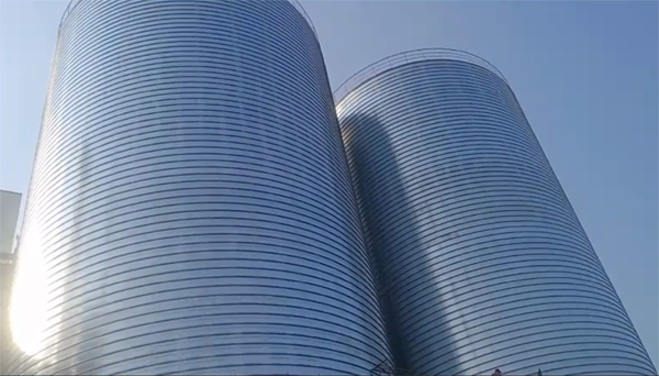 望牛墩镇2座混凝土高架卷板仓